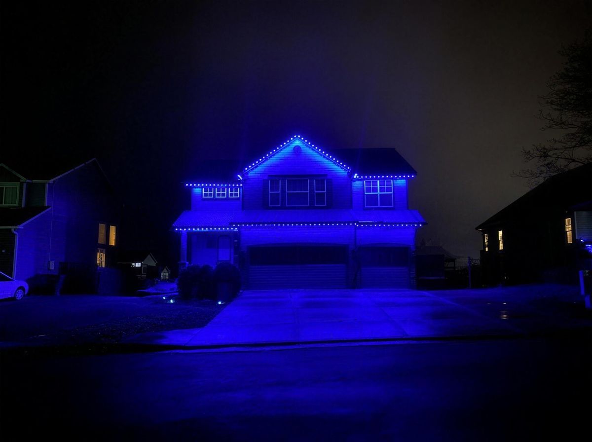 Blue roofline lights