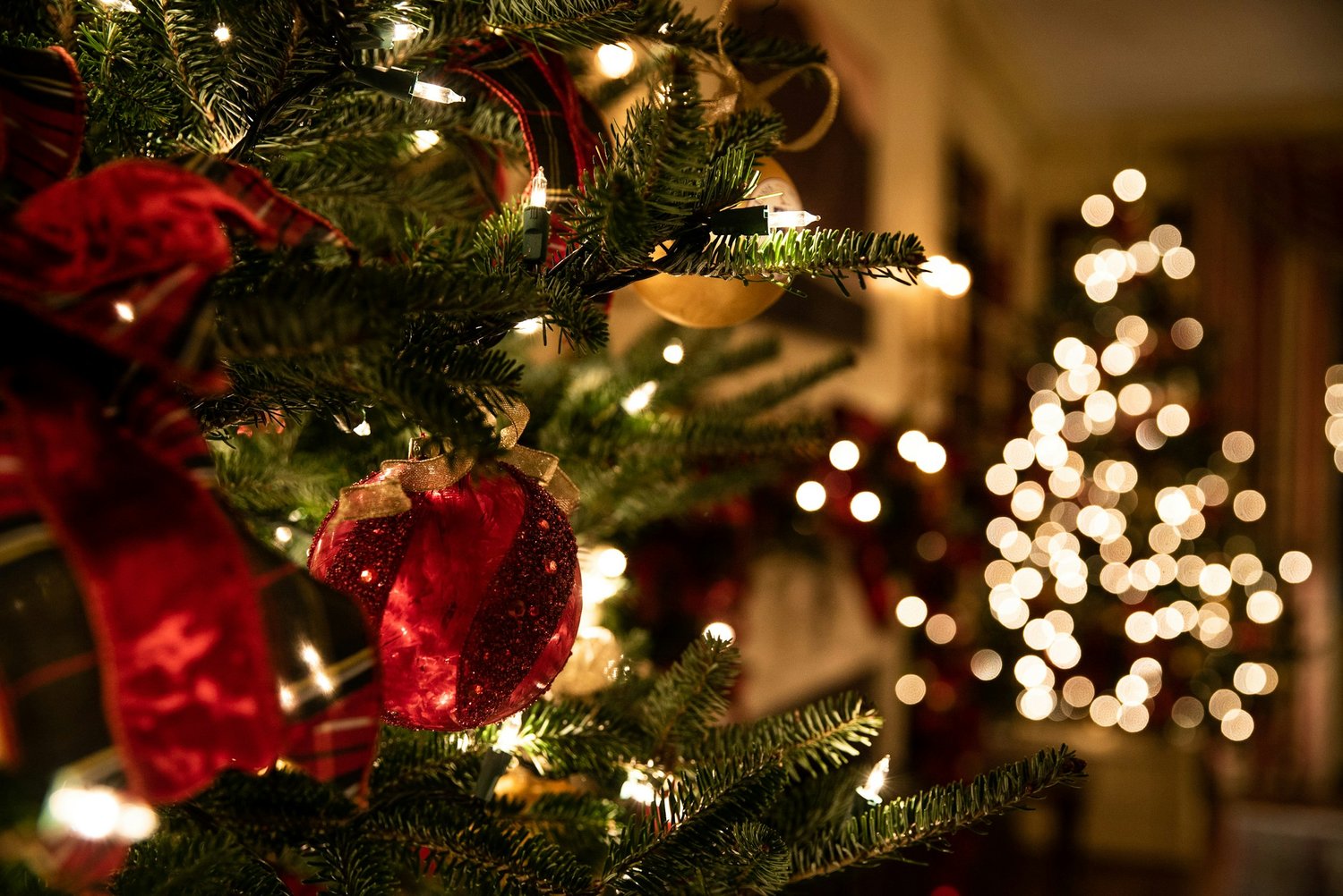 Festive wreath and garland with warm lights